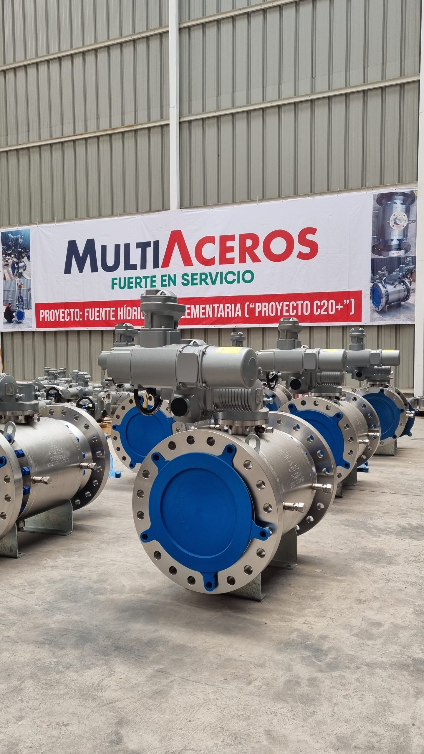 Proyecto 3 - MultiAceros